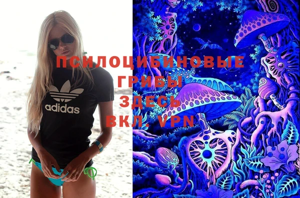 трава Армянск