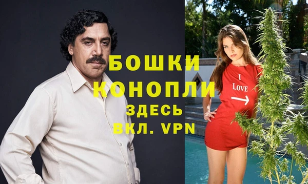 дурь Арсеньев