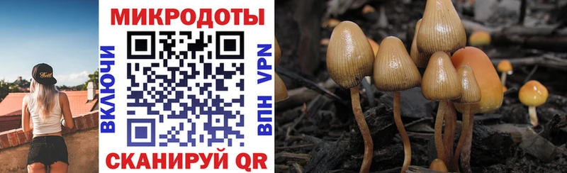 Галлюциногенные грибы MAGIC MUSHROOMS Лахденпохья
